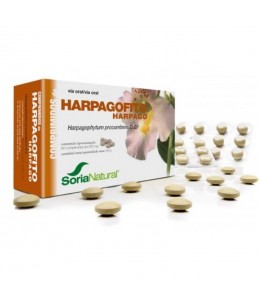 Harpagofito 600 mg 60...